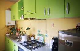 Garsonieră, 26 mp, etaj intermediar, zona Bartolomeu