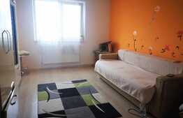 Garsonieră, 26 mp, etaj intermediar, zona Bartolomeu