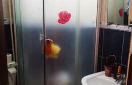 Garsonieră, 26 mp, etaj intermediar, zona Bartolomeu