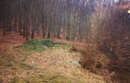 Apartament de 3 camere, decomandat, priveliște spre pădure, zona Răcădău