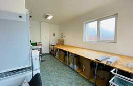 Spatiu delivery/productie 150 mp, zona Iulius Mall