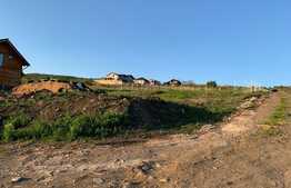 Teren extravilan 952 mp, in zona strazii Oasului-Pomet