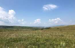 Teren intravilan 5800 mp in Sopor-Dealul Borzasilor