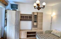 Garsoniera luminoasa, decomandat, 30mp, zona strazii Bucegi, Manastur