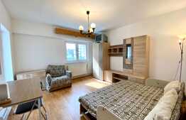 Garsoniera luminoasa, decomandat, 30mp, zona strazii Bucegi, Manastur