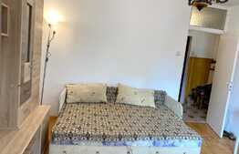 Garsoniera luminoasa, decomandat, 30mp, zona strazii Bucegi, Manastur