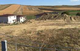 Teren intravilan 800 mp,cu destinatia de constructii casa in Salistea Noua-Baciu