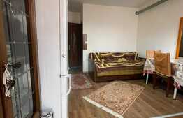 Garsoniera, 20 mp, zona Centrala