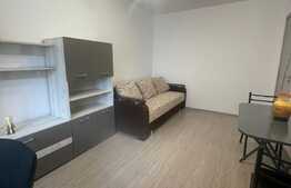 Garsoniera, decomandata, 26 mp, zona strazii Louis Pasteur