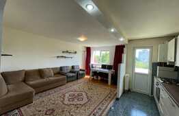 Apartament de 4 camere, 87 mp, Pet Friendly, zona strazii Parang