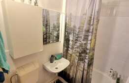 Apartament cu 1 camera in zona centrala a Clujului, langa Facultatea de Litere!