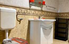 2 camere la casa, parcare, 60 mp, gradina, zona Iulius Mall, pet friendly