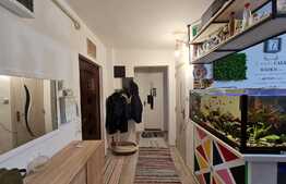 Apartament 2 camere, decomandat, 50 mp, zona Pasteur