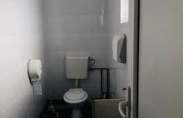 Casa de inchiriat, 160 mp, zona Iulius Mall, curte cu acces din strada