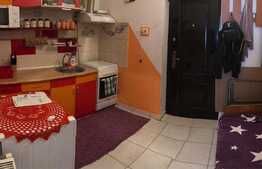 Garsoniera de 24 mp, zona Harmanului 