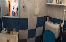 Garsoniera de 24 mp, zona Harmanului 