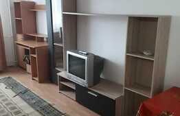 Garsoniera de 24 mp, zona Uzina 2