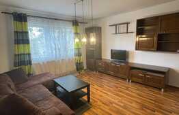 Apartament 2 camere, 58 mp, parcare, zona Muzeul Apei