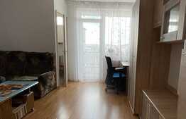 Garsoniera de 30 mp, zona strazii Constantin Brancusi