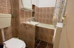 Garsoniera de 30 mp, zona strazii Constantin Brancusi