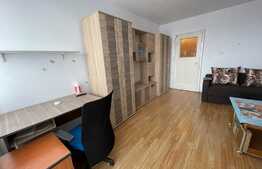 Garsoniera de 30 mp, zona strazii Constantin Brancusi