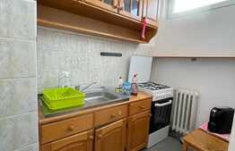 Garsoniera de 30 mp, zona strazii Constantin Brancusi