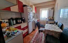 Apartament de 3 camere, 66 mp, zona Expo Transilvania