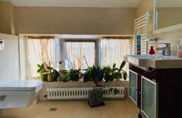 Apartament spatios, 3 camere, 100 mp, garaj, terasa, zona Lidl