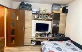 Garsoniera moderna, 27 mp, balcon, pet friendly, Aleea Negoiu