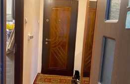 Garsoniera moderna, 27 mp, balcon, pet friendly, Aleea Negoiu