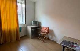 Apartament 2 camere, 32 mp, pet friendly, zona strazii Albac