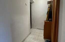 Apartament 2 camere, 32 mp, pet friendly, zona strazii Albac
