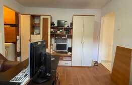 Apartament 2 camere, 32 mp, pet friendly, zona strazii Albac