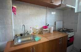 Apartament 2 camere, 32 mp, pet friendly, zona strazii Albac