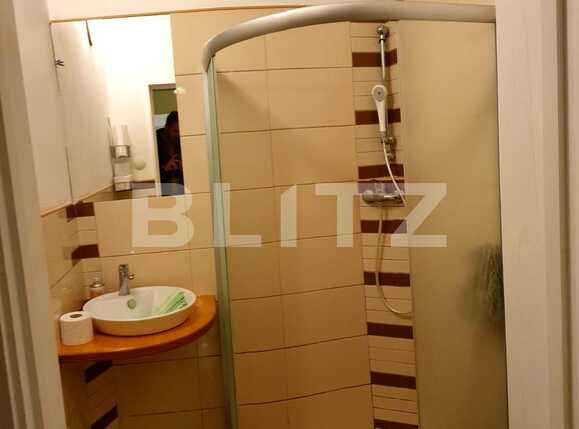 Apartament cu 4 camere la marginea padurii in Racadau | Poza16