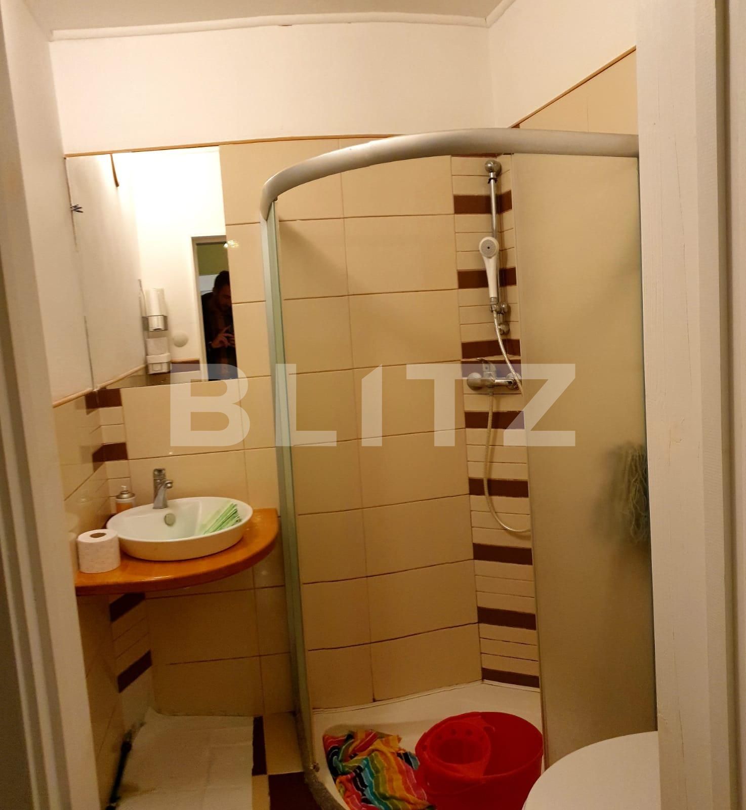 Apartament cu 4 camere la marginea padurii in Racadau | Poza16