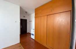 Garsoniera de 35 mp, pet friendly, AC, zona strazii Lunii
