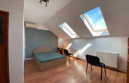 Garsoniera de 35 mp, pet friendly, AC, zona strazii Lunii