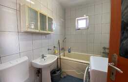 Garsoniera de 35 mp, pet friendly, AC, zona strazii Lunii