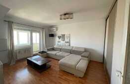 Garsoniera decomandata, 44 mp, A.C, pet friendly, zona Iulius Mall