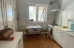 Apartament de 2 camere, pet friendly, zona Bucium 