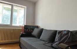 Apartament de 2 camere, pet friendly, zona Bucium 