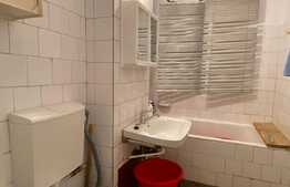 Apartament de 2 camere, pet friendly, zona Bucium 