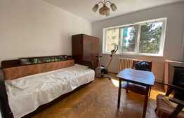 Apartament de 2 camere, pet friendly, zona Bucium 