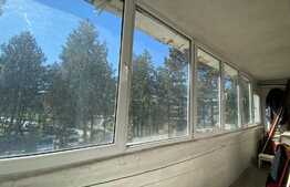 Apartament de 2 camere, pet friendly, zona Bucium 