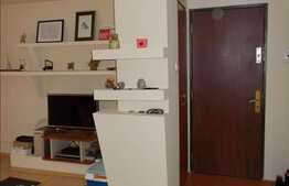 Vanzare apartament 2 camere, 60 mp, mobilat, utilat, zona strazii Plopilor