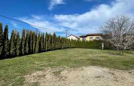 Apartament nemobilat pretabil pentru birou, zona Dianei Faget