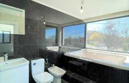 Apartament nemobilat pretabil pentru birou, zona Dianei Faget