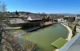 Apartament nemobilat pretabil pentru birou, zona Dianei Faget