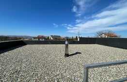 Apartament nemobilat pretabil pentru birou, zona Dianei Faget